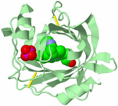 Image Biological Unit 2