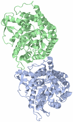 Image Asymmetric Unit