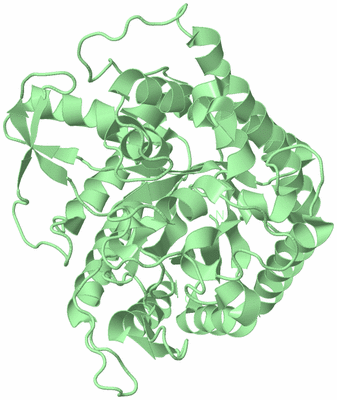 Image Biological Unit 2