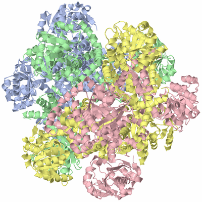 Image Biological Unit 1