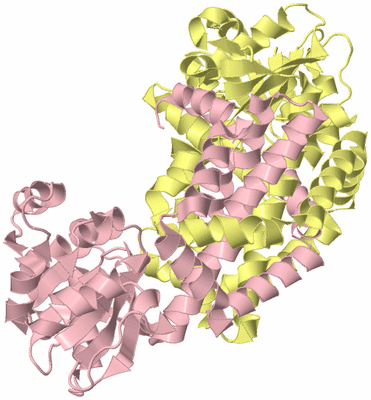 Image Biological Unit 2