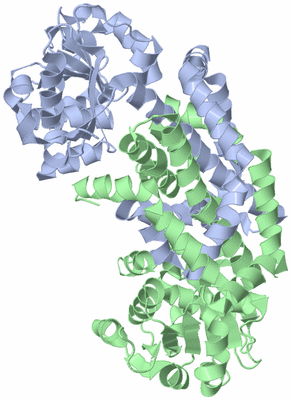 Image Biological Unit 3