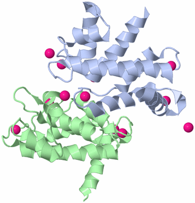 Image Asym./Biol. Unit