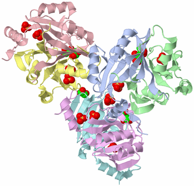 Image Asymmetric Unit
