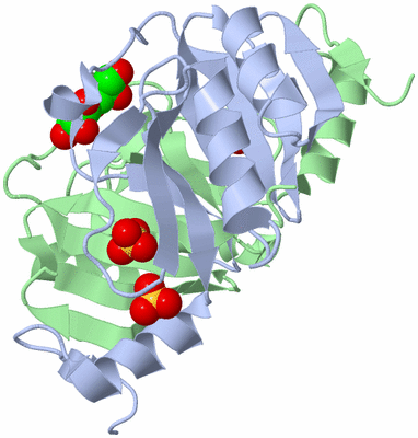 Image Biological Unit 1
