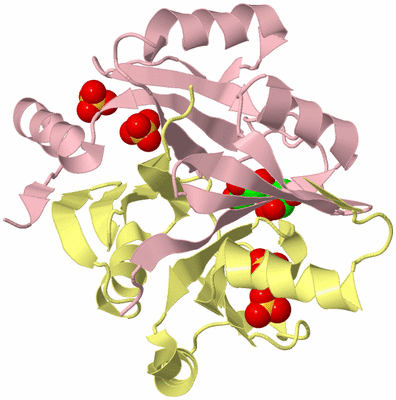 Image Biological Unit 2