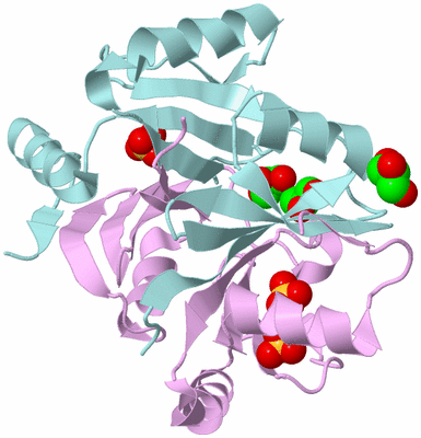 Image Biological Unit 3