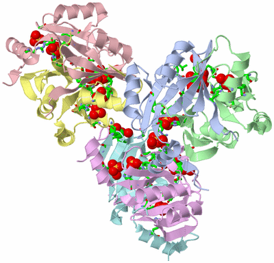 Image Asym. Unit - sites