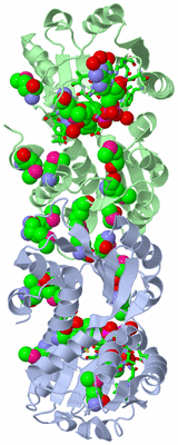 Image Asym./Biol. Unit - sites