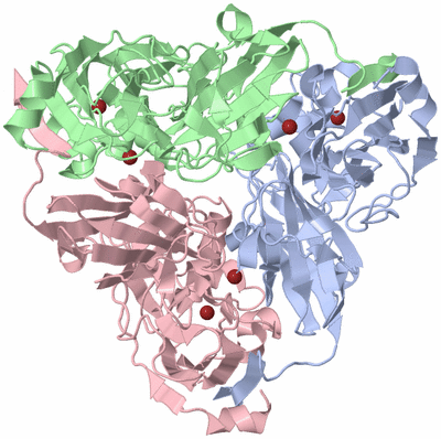 Image Asym./Biol. Unit