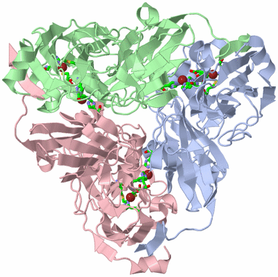 Image Asym./Biol. Unit - sites