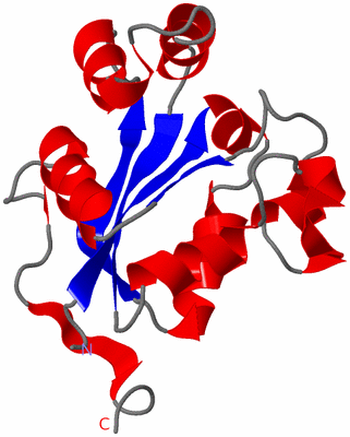 Image Asymmetric Unit