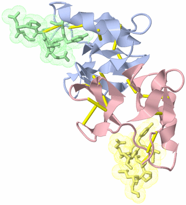 Image Biological Unit 1