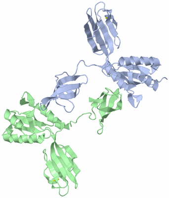 Image Biological Unit 5