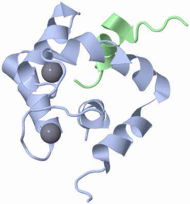 Image NMR Structure - model 1