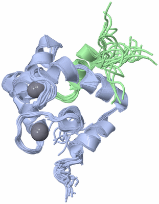 Image NMR Structure - all models