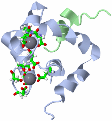 Image NMR Structure - model 1, sites