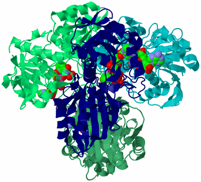 Image Asym./Biol. Unit