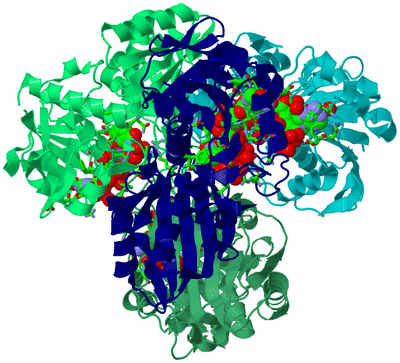 Image Asym./Biol. Unit - sites