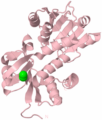 Image Biological Unit 3