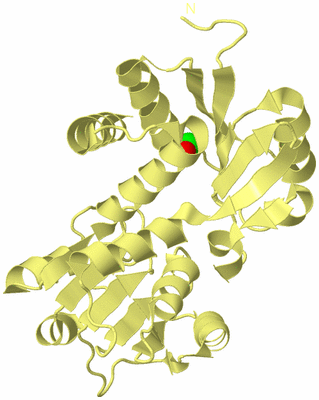 Image Biological Unit 4