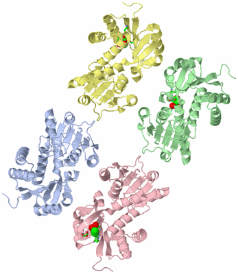 Image Asym. Unit - sites