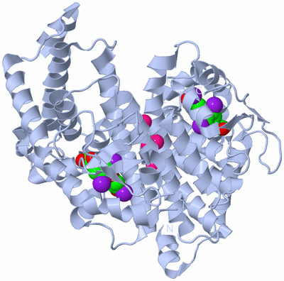 Image Biological Unit 2