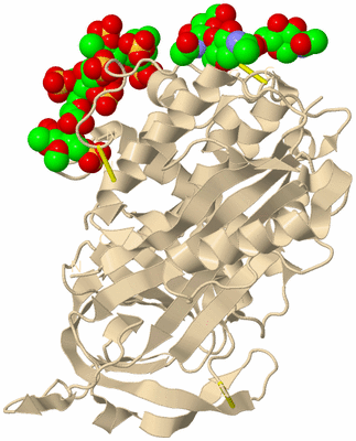 Image Biological Unit 1