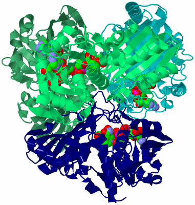 Image Asym./Biol. Unit