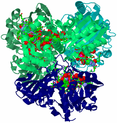 Image Asym./Biol. Unit - sites