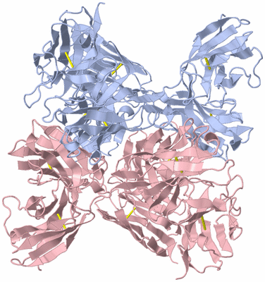 Image Biological Unit 1