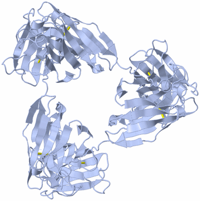 Image Biological Unit 2