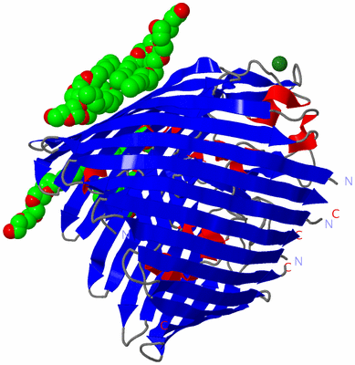 Image Asym./Biol. Unit