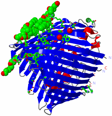 Image Asym./Biol. Unit - sites