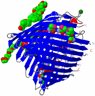 Image Asym./Biol. Unit