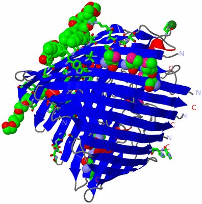 Image Asym./Biol. Unit - sites