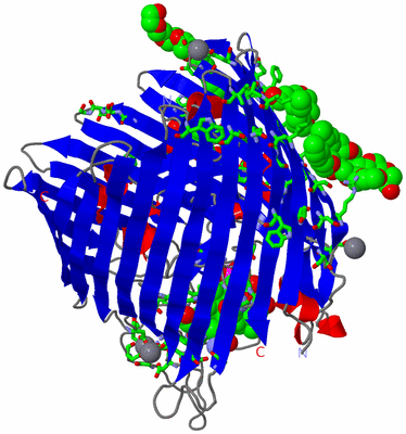 Image Asym./Biol. Unit - sites