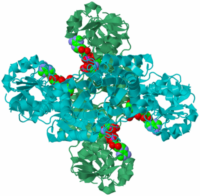 Image Biological Unit 1