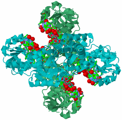 Image Biol. Unit 1 - sites