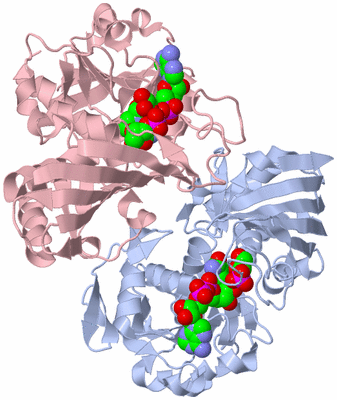 Image Biological Unit 2