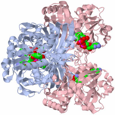 Image Biological Unit 3