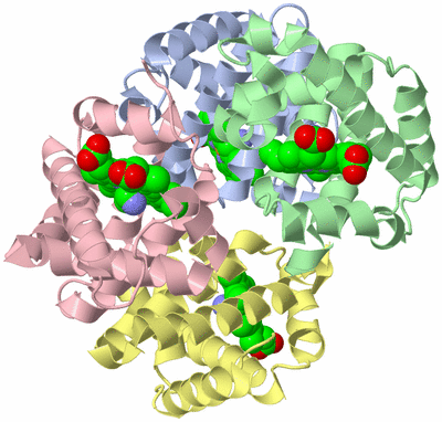 Image Asym./Biol. Unit