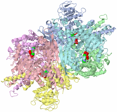 Image Biological Unit 1