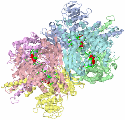 Image Biol. Unit 1 - sites