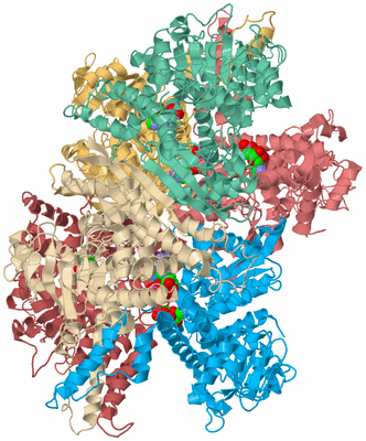 Image Biological Unit 2