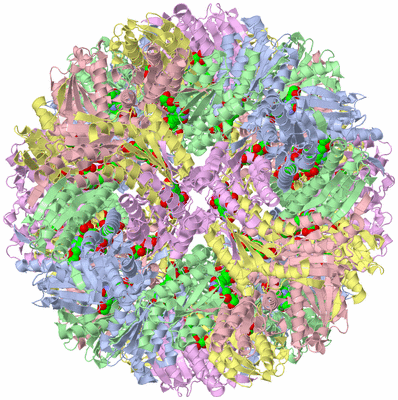 Image Biological Unit 1