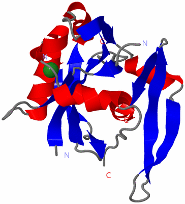 Image Asym./Biol. Unit