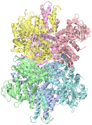 Image Asym./Biol. Unit