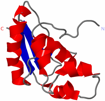 Image NMR Structure - model 1