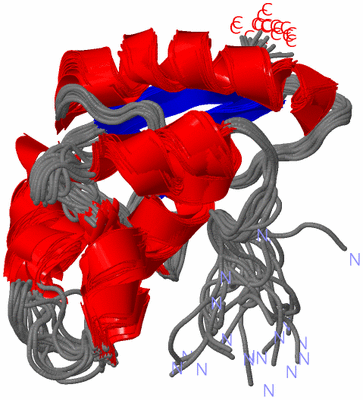 Image NMR Structure - all models